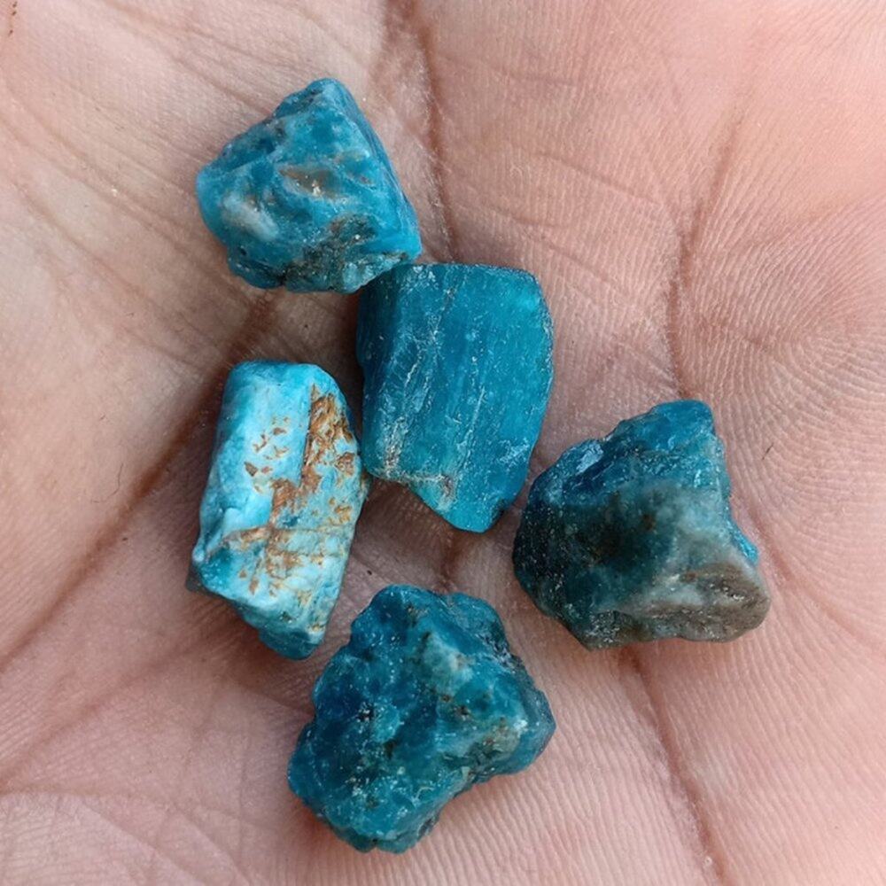 Apatite Lot of 5 Rough Stones